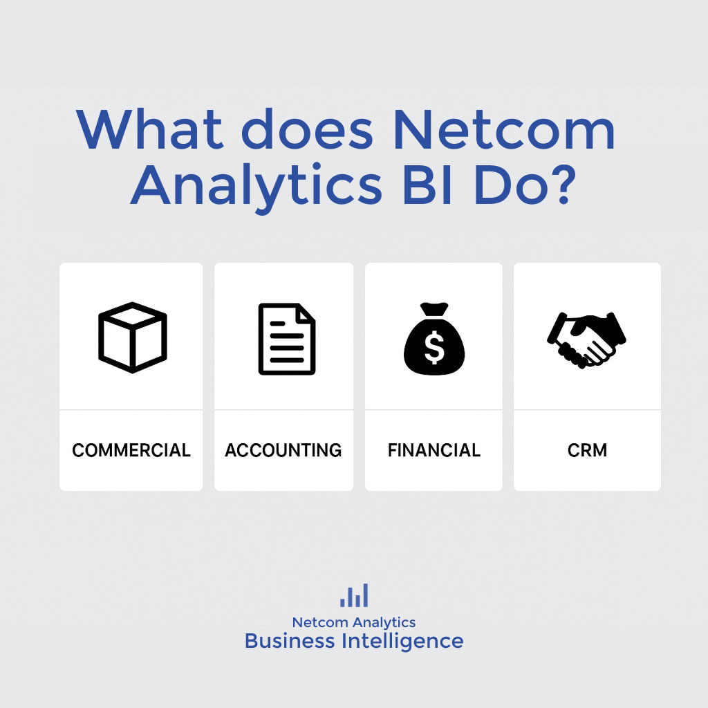 Τι κάνει το Netcom Analytics BI;